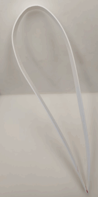 1250028055