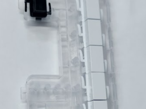 C00865950
