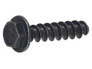 37032828