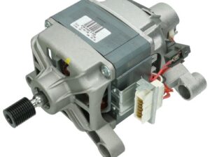 41041529
