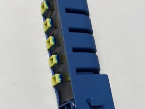 C00252598
