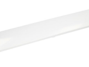 C00507920