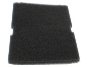C00865068