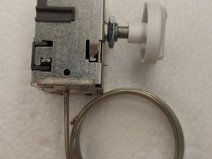 ICTN1S409
