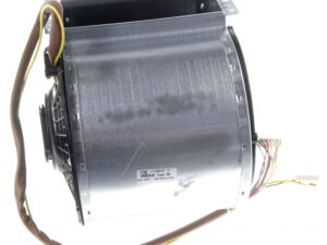 AS0030736