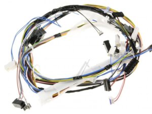 32025324